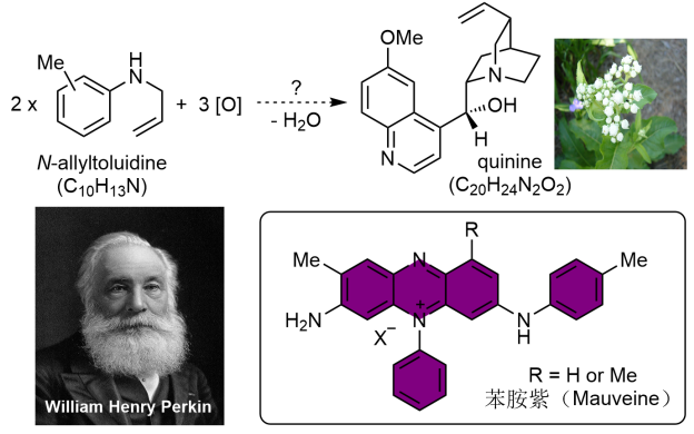 源于偶然的苯胺紫染料